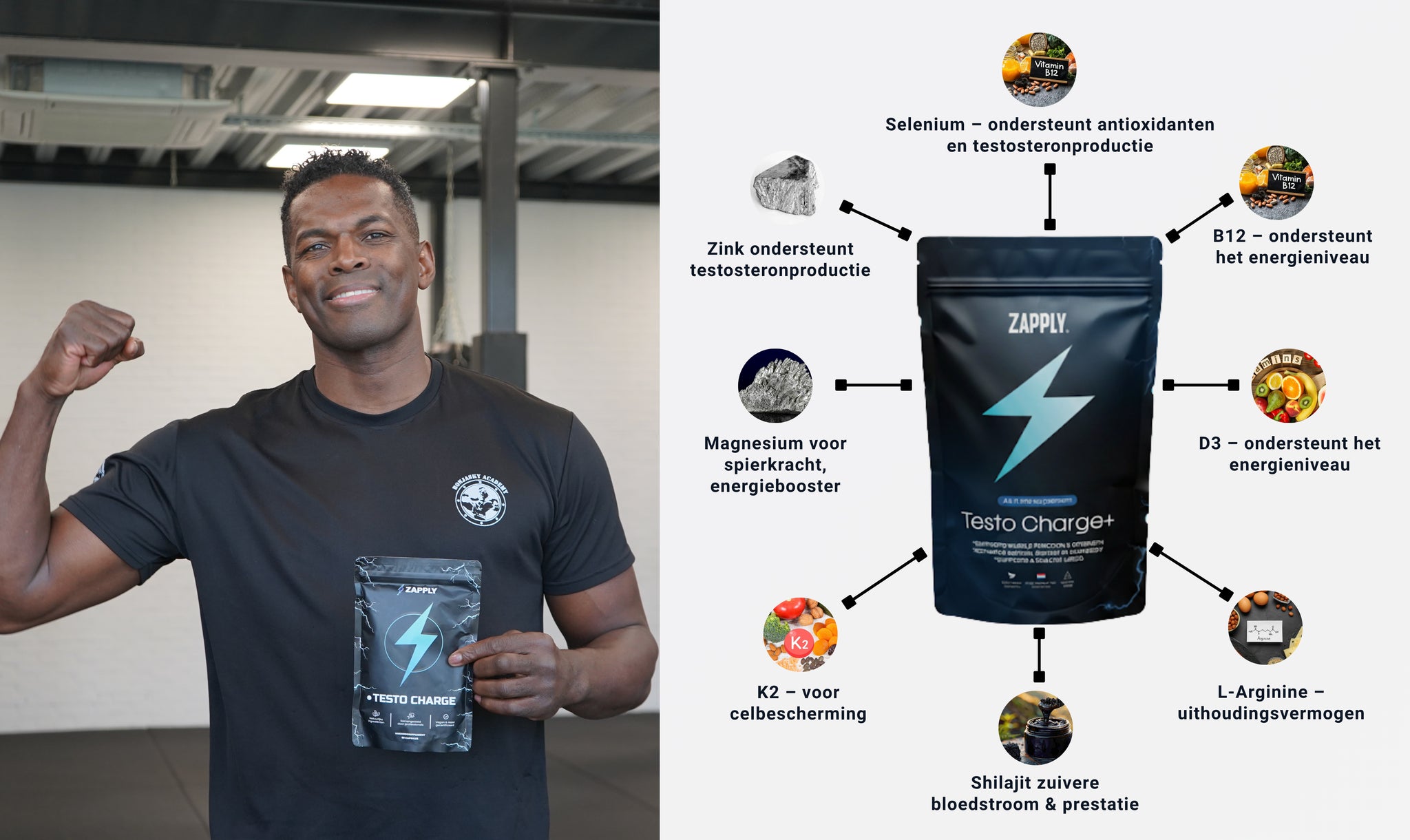 Zapply product image