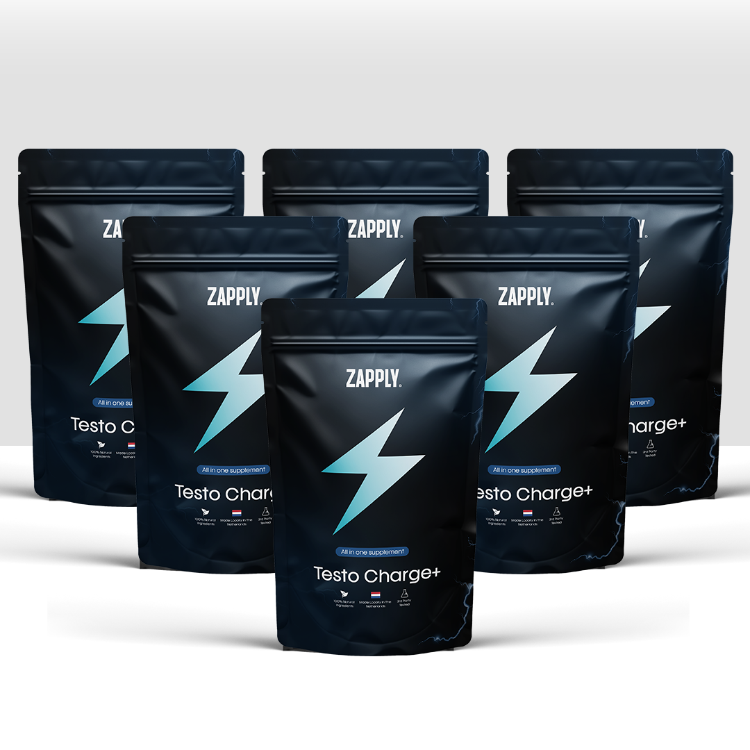 Testo Charge 6 Stuks Bundel