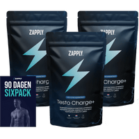 Testo charge